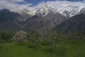 Kalpa