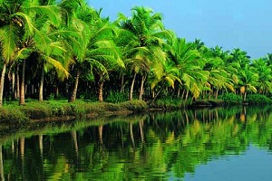 Kerala Backwaters